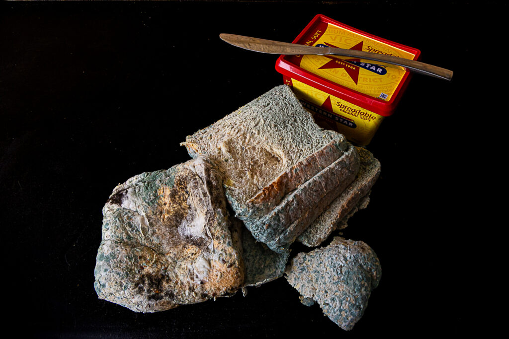 I'll-Pass-On-The-Sandwich-Thanks