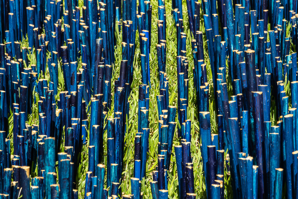 Vegetarian-Blue-Poles